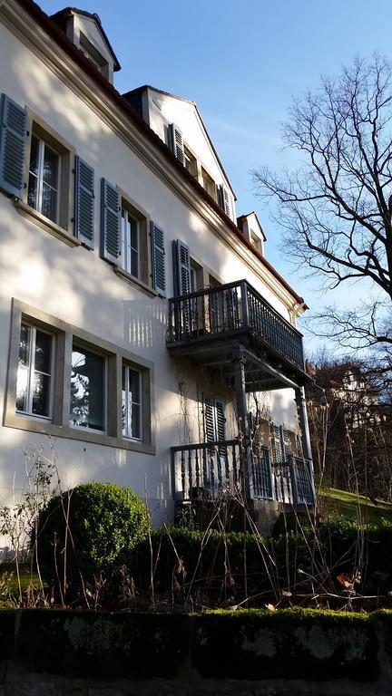 Villa Im Park Wachwitzgrund Дрезден Экстерьер фото